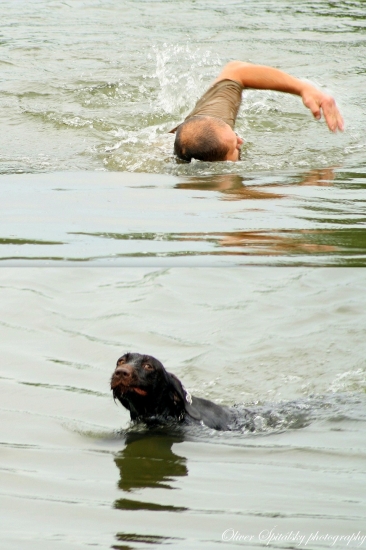Záchrana topiaceho sa psa
