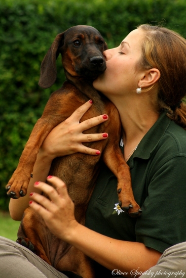 Lásku, ktorú dáš psovi, ti pes dvakrát vráti