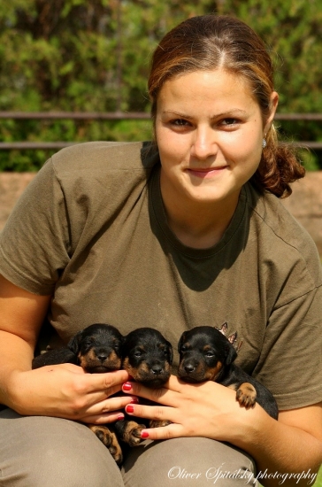 Človek si vyberie psa, ale pánom je ten, koho si vyberie pes