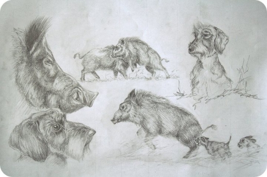 Veľký verzus malý rytier