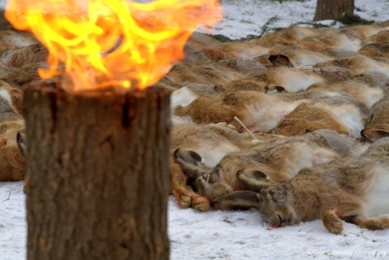 Po peknej poľovačke na drobnú zver