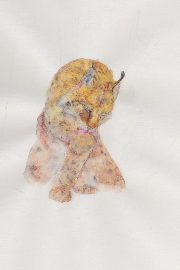 Keď ceruzka nestačí, alebo učím sa maľovať