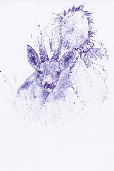 Keď hlava myslí len na jedno..