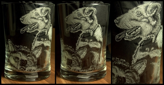 Jagoš nad ulovenou líškou