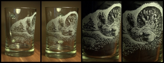 Kráľovský vták počas toku