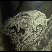 Úspešná dohľadávka (detail)