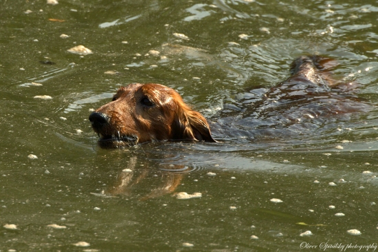 Špeciálne vodné práce