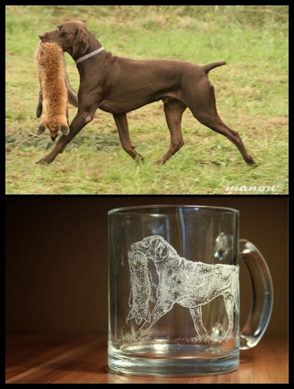 Dnešné skoro makro