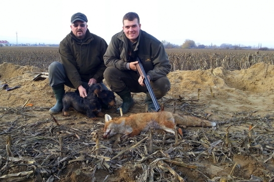 Zahájili sme našu líškarskú sezónu