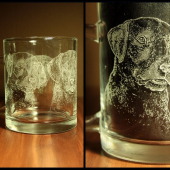 chesapeake bay retriever