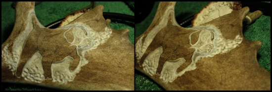 Skúšam, no začiatky sú ťažké