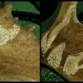 Skúšam, no začiatky sú ťažké