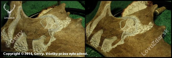 Skúšam, no začiatky sú ťažké