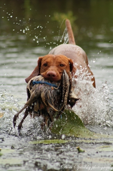Tréning robí majstrov