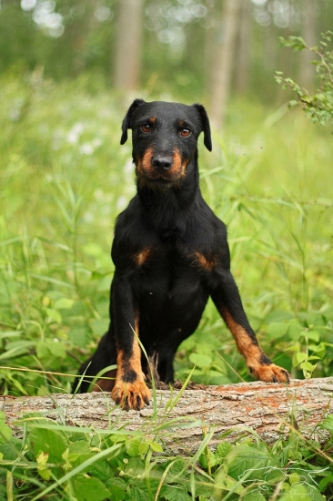 Kazan Komjatické jazero