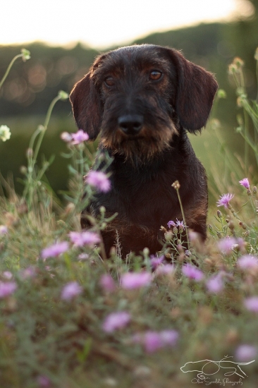 Sindy *ROXY* Jasenovské vodopády