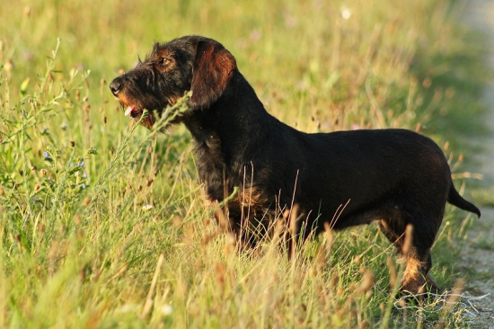 Sindy *ROXY* Jasenovské vodopády - 12 mesiacov