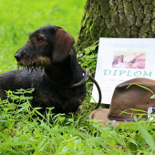 Úspešne zložené brlohárske skúšky