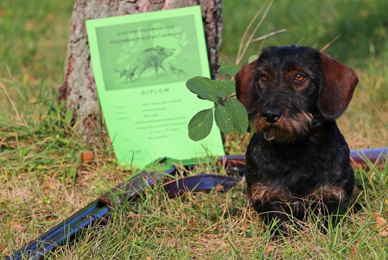 Už máme za sebou aj FDčka