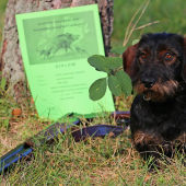 Už máme za sebou aj FDčka