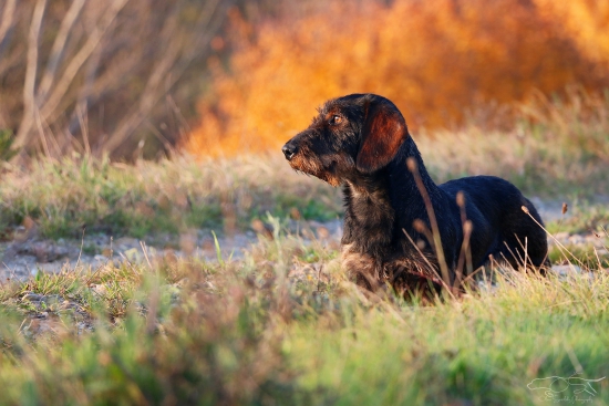 V jesenných farbách