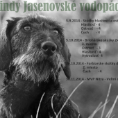 Roxy a náš prvý pracovný rok