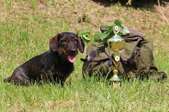 Farbiarske skúšky úspešne za nami :)