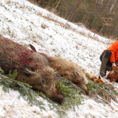 S pomocníkmi na spoločnej
