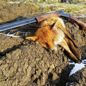 (Opäť) úspešné norovanie