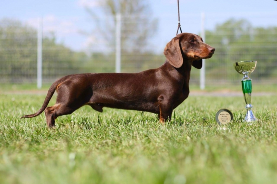 Vero a jeho prvé úspechy