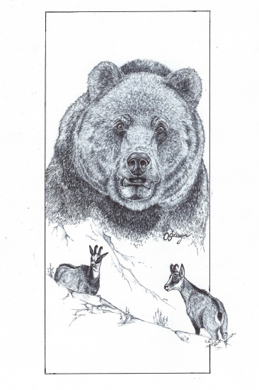 Perokresba na slovenskú nôtu