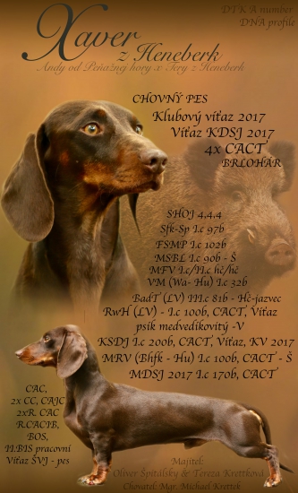 Sumarizovanie roku 2017