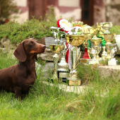 Xaver z Heneberk a rok 2017!