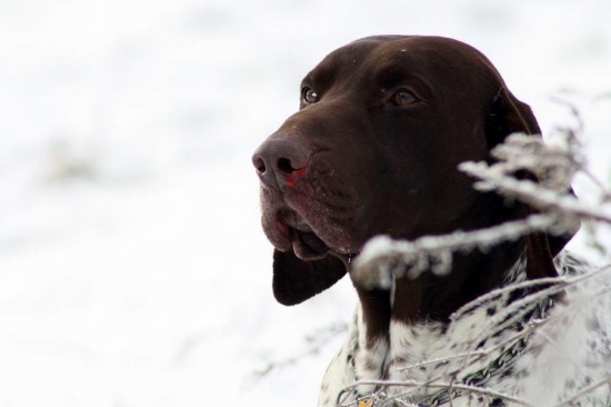 Odloženie pri výloži