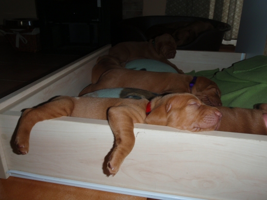 Viete čo je totálny 