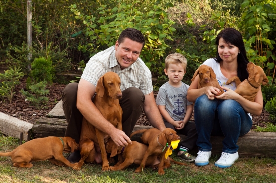 A HOUSE IS NOT HOME WITHOUT A VIZSLA :-)))))