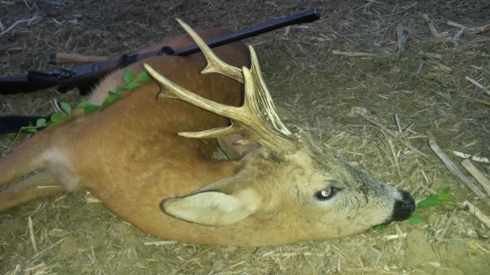 1.spoločný na 2.krát :-) DETAIL