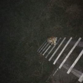 Tak tohle sem ješte nežrál...