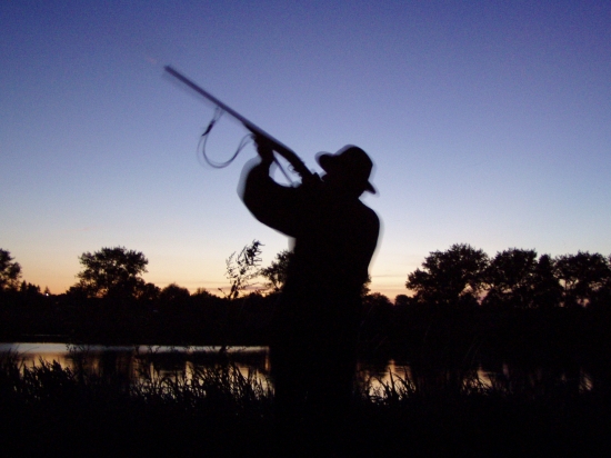 Čarovný večer II.