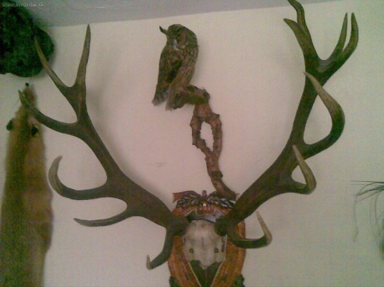 praca pytliakov na horehroni lebka bola preseknuta sekerou