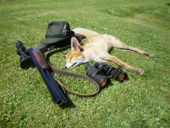 Lišák střelený na 138 metrů