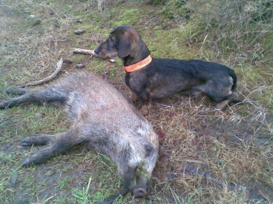 pečlivě si ho hlídá!!!