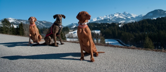 ...vyzle na horach :-)))