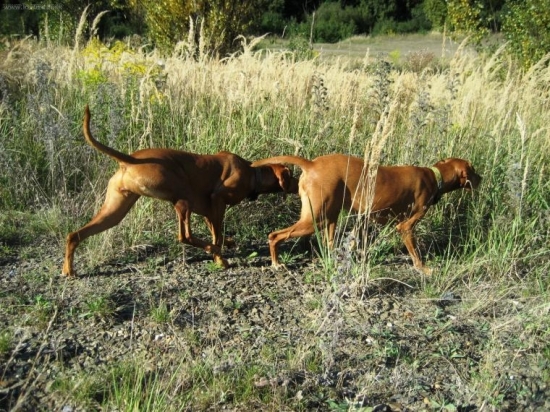 ...a uz sa zakradame...:-D