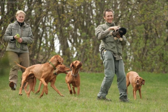 ...no a co...aj tak sa najlepsie hlada krtko :-)))