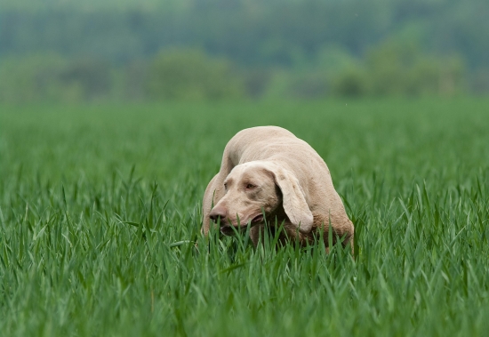 ...aby ste nepovedali, ze furt len 