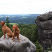 ...znova na vylete...Adrspach...