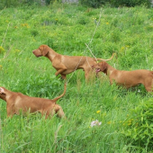 ...zasa nieco mame :-))