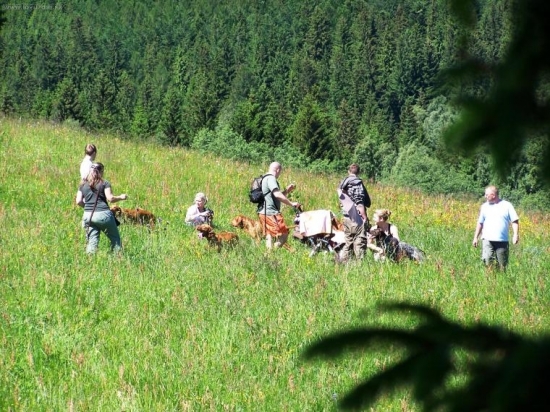 ...tentoraz si urobili vyzle vylet do Jesenikov...