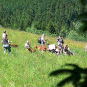 ...tentoraz si urobili vyzle vylet do Jesenikov...